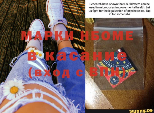 шишки Майский